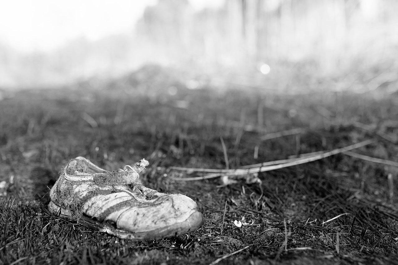 Як зараз виглядає парк «Осокорки» біля озера Тягле